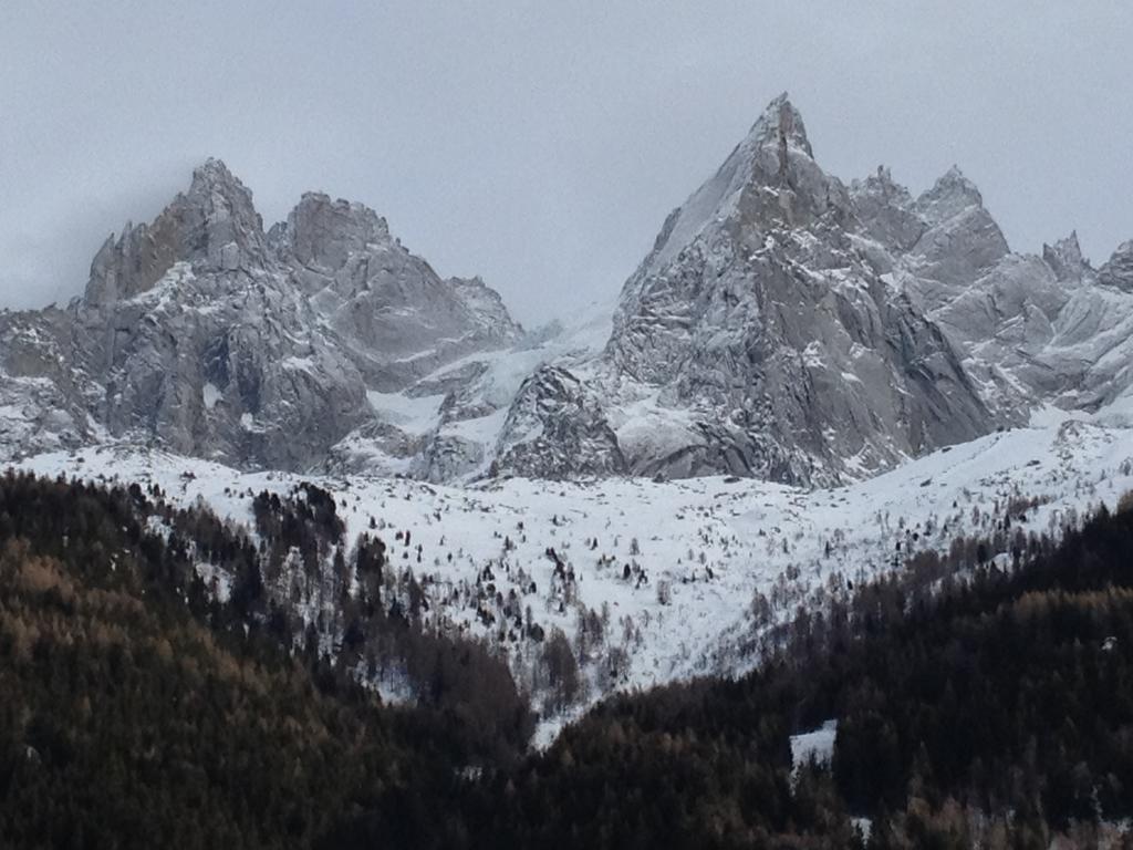 Eden Hotel, Apartments And Chalet Chamonix Les Praz Εξωτερικό φωτογραφία